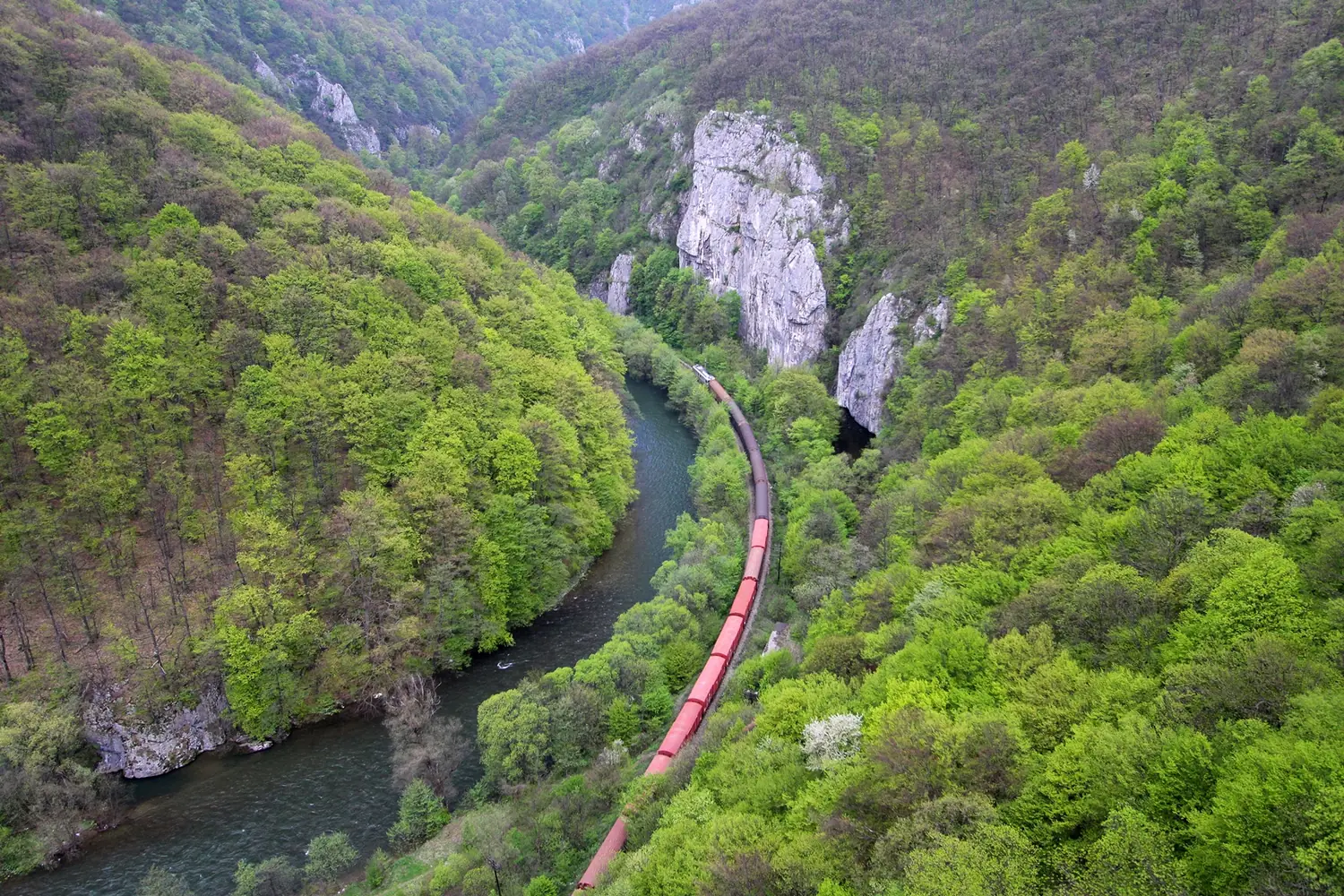 Trenul traversând Defileul Crișului Repede printre munți
