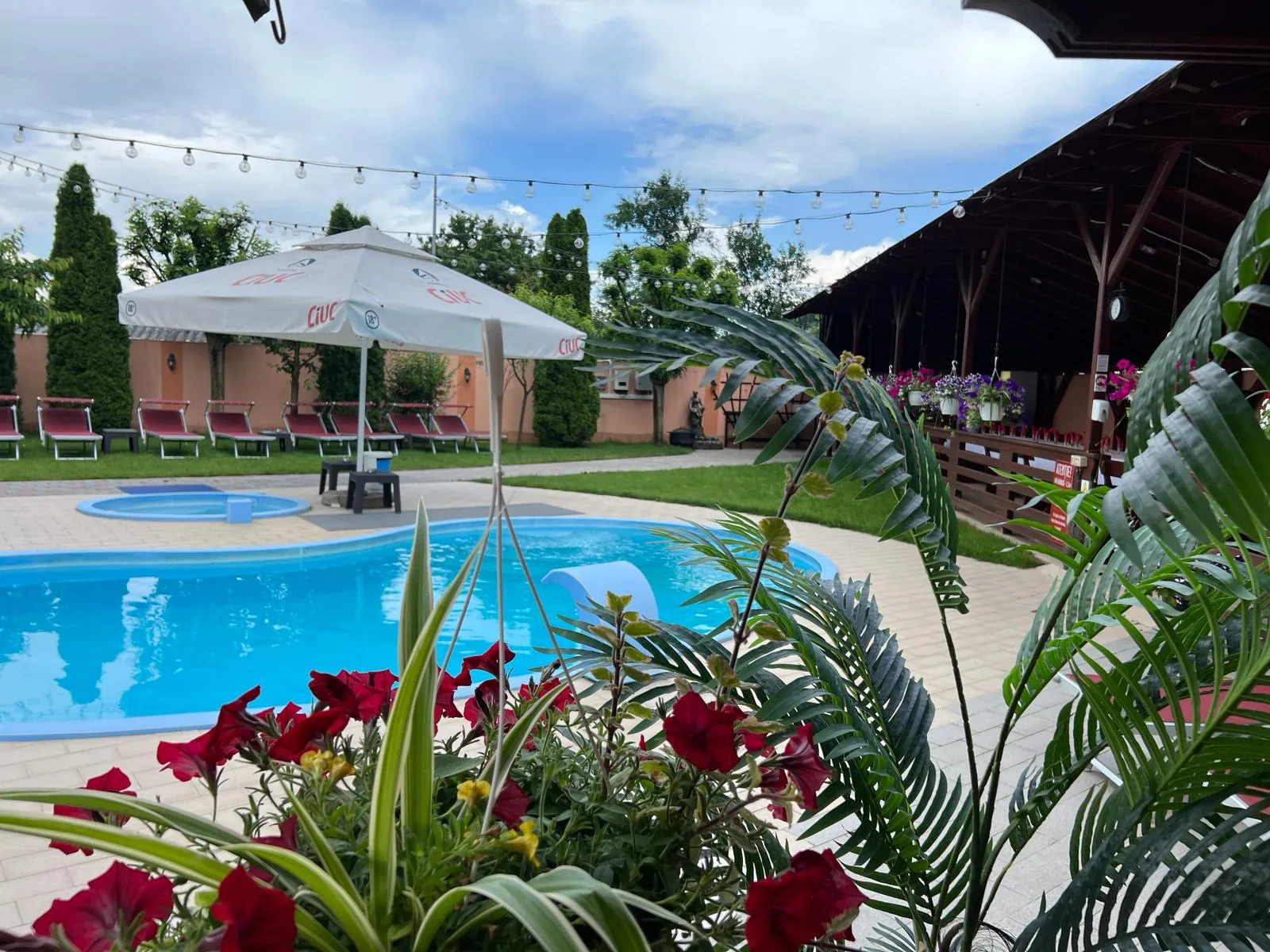 Piscina exterioară încălzită a pensiunii, înconjurată de flori și verdeață